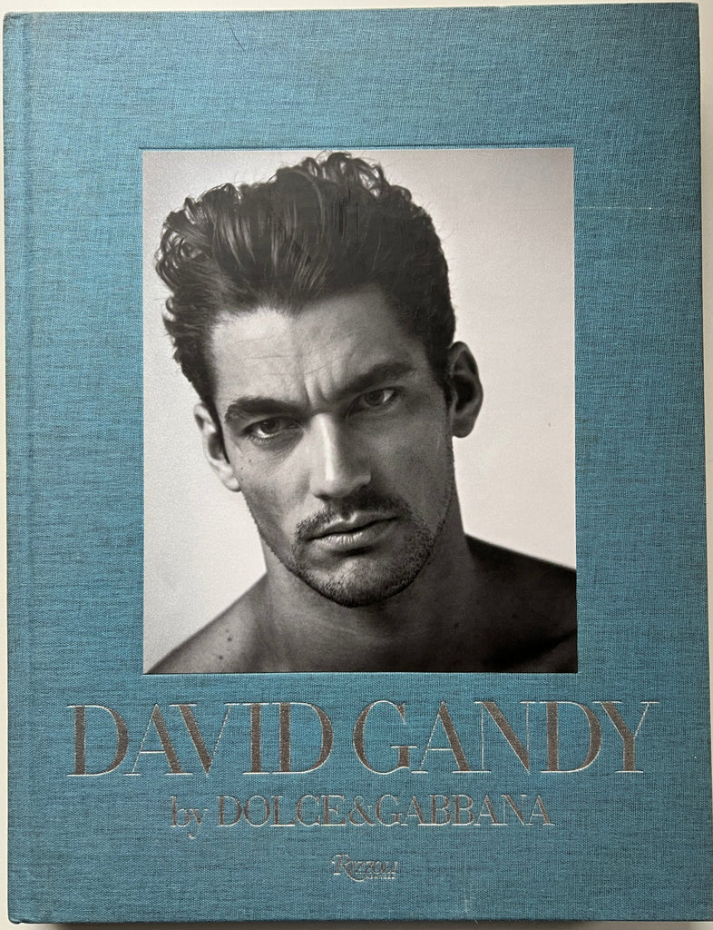 David Gandy by Dolce & Gabbana: The Male Icon