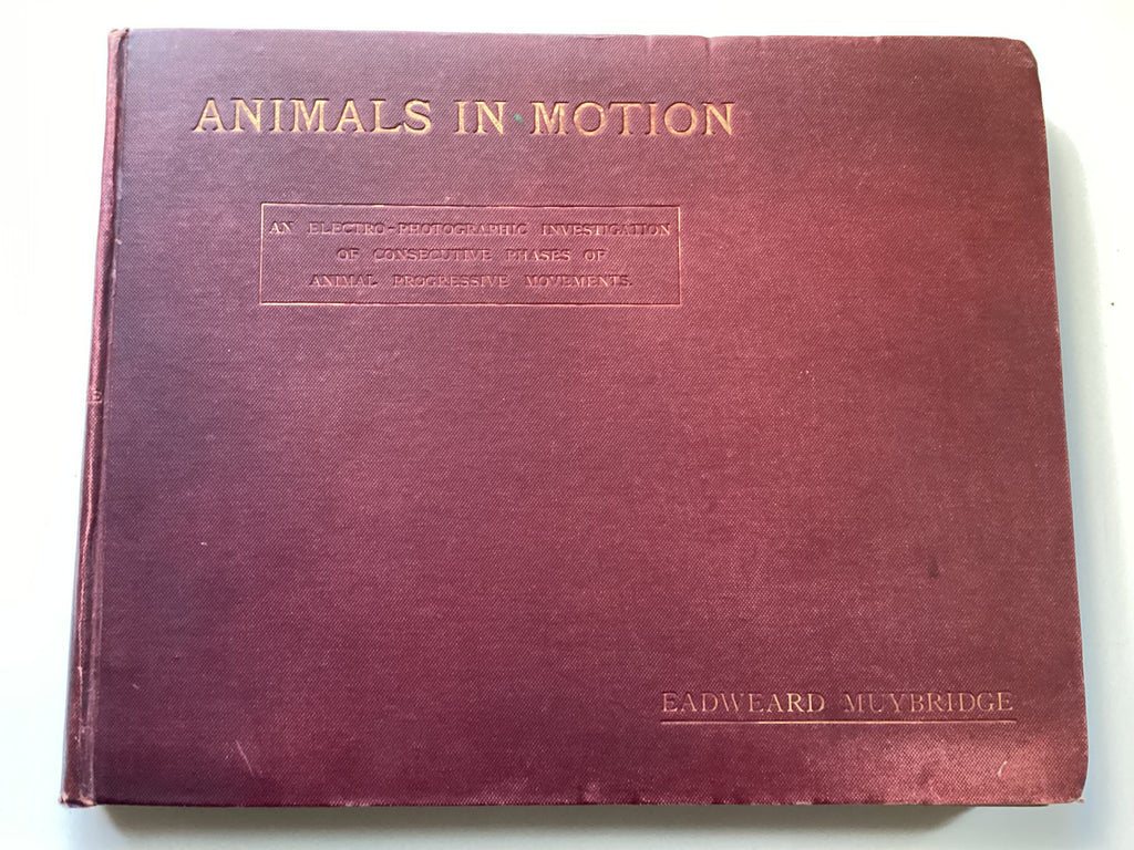 Animals in Motion by Eadweard Muybridge 1899