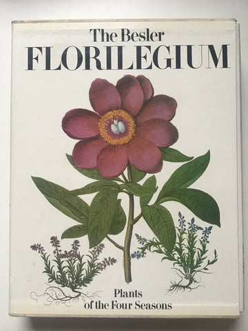 The Besler Florilegium